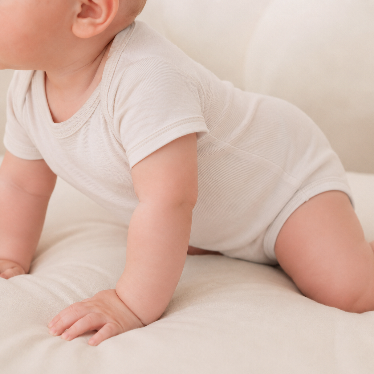 Short-sleeved bodysuit made from 100% certified fine merino wool